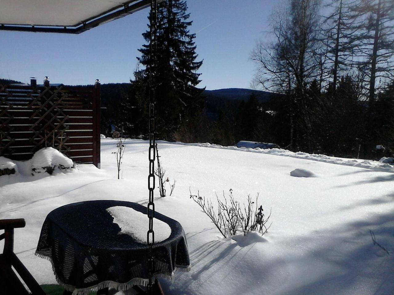 Sonnige-Waldruhe-Am-Skiberg Hotell Feldberg  Eksteriør bilde